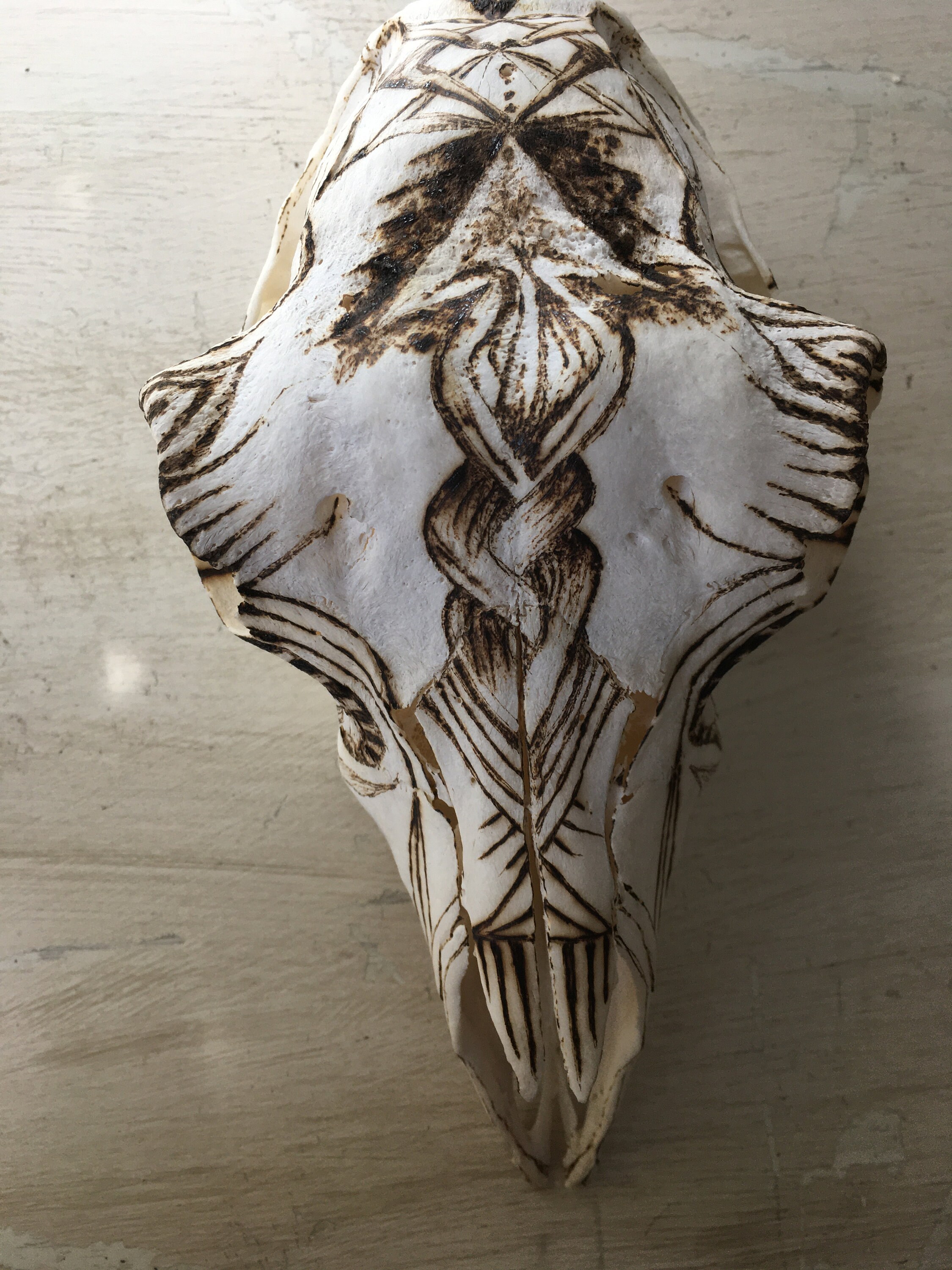 Sheep Skull - Pyrography Art - Burning on Bone - Unique No Waste ...