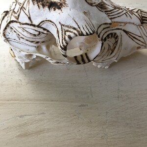 May include: A white animal skull with intricate burnt designs on the surface. The skull is lying on a light wood surface.