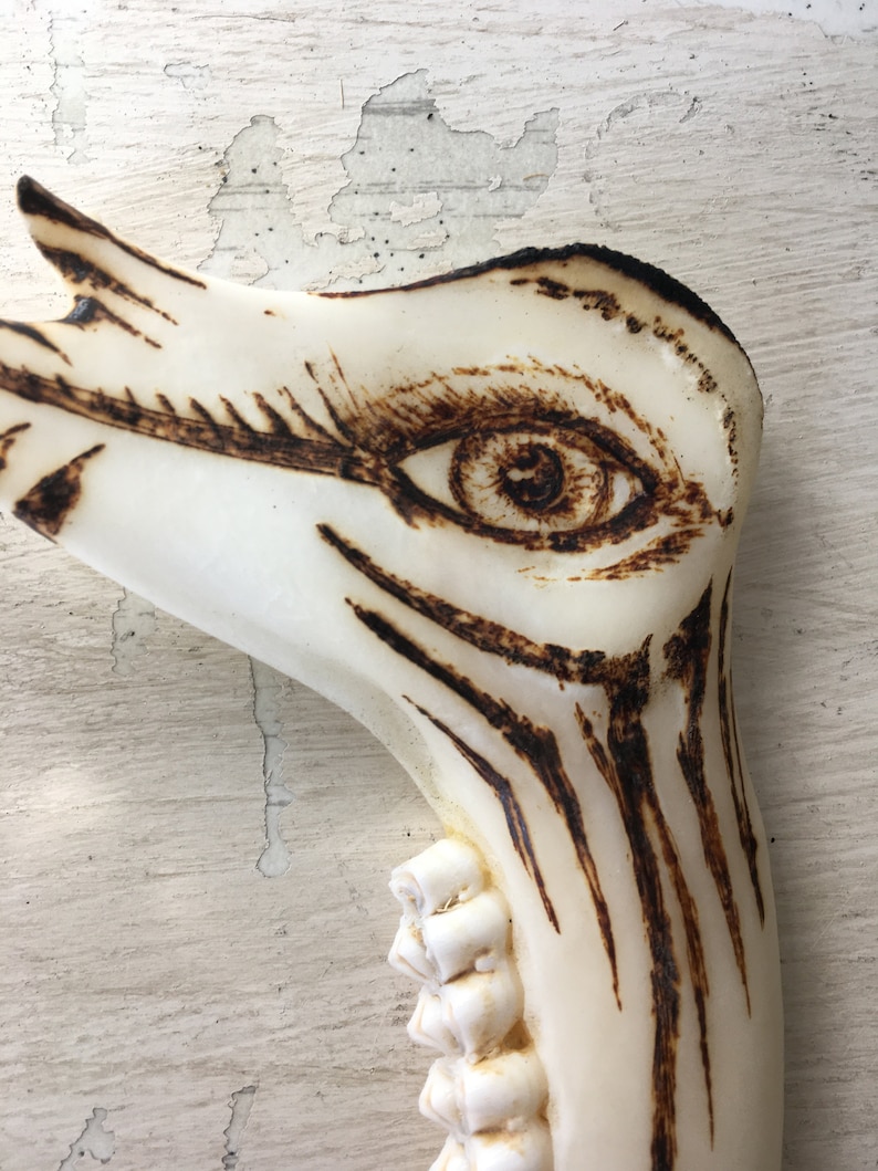 Eye Burnt Bone Art - Jaw Bone Pyrography - Altar Fine Art - Ceremonial ...