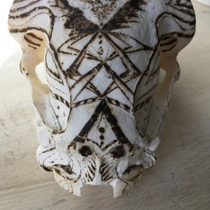 May include: A white animal skull with a detailed, intricate design burned into the surface. The design is symmetrical and features a series of lines and dots.