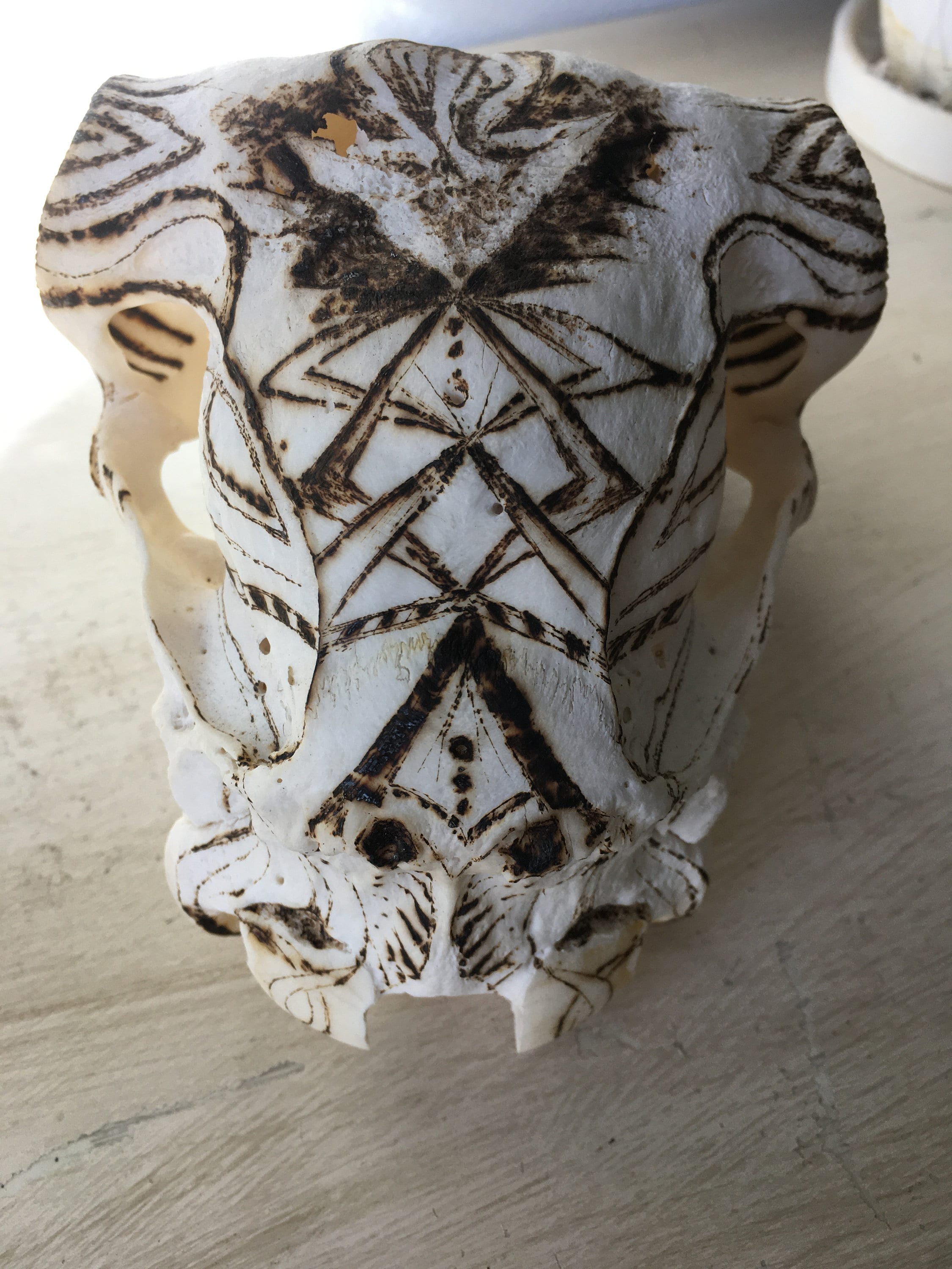 Sheep Skull - Pyrography Art - Burning on Bone - Unique No Waste ...