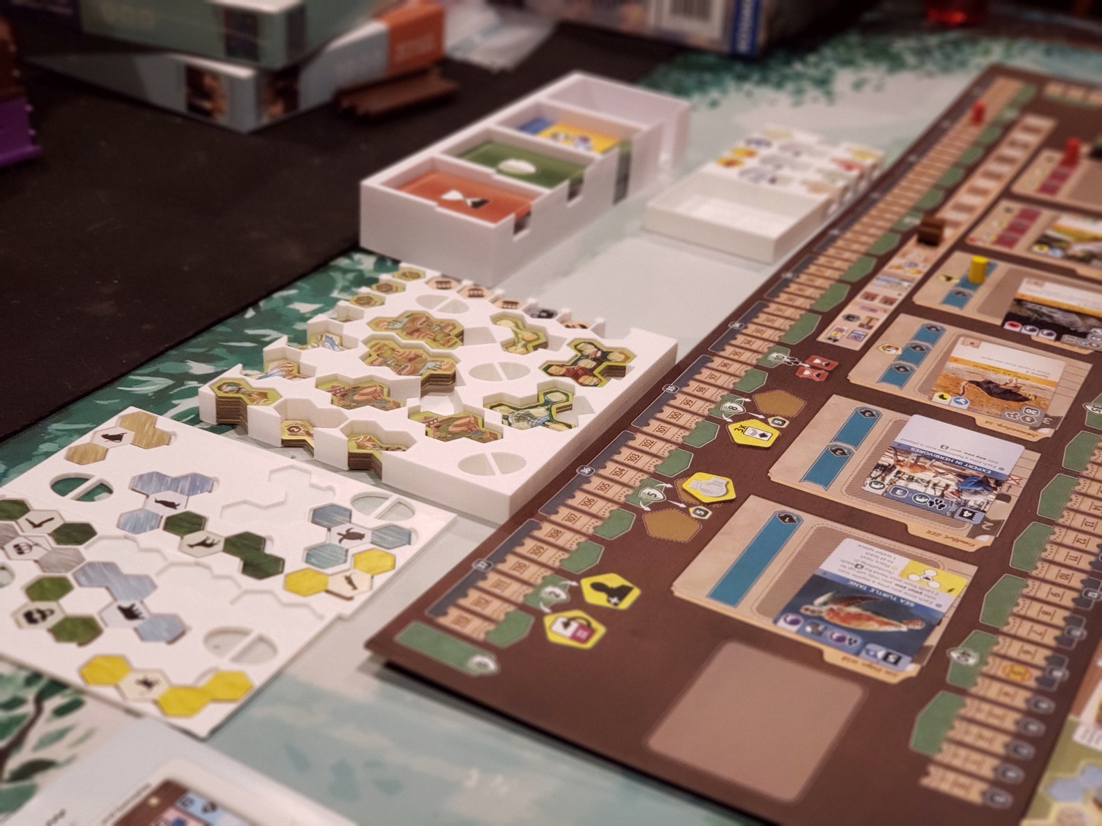 Ark Nova Insert / Box Organizer With Individual Player Trays Etsy