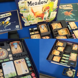 Meadow & Expansion insert / organizer (Supports and segregates the Downstream expansion)