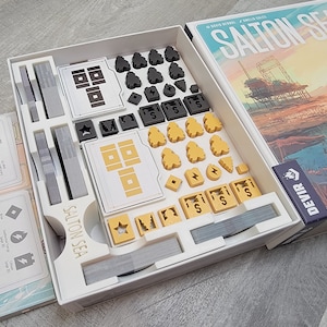 Salton Sea insert / box organizer with individual player trays