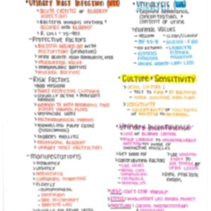 May include: A handwritten medical diagram on a white background, detailing genitourinary topics. Key sections include Urinary Tract Infection, Urinalysis, Culture Sensitivity, and Urinary Incontinence. The text is in various colors, with bullet points and arrows.