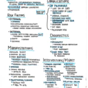 May include: Handwritten notes on a white sheet of paper outlining the causes, symptoms, complications, diagnosis, and treatment of Chronic Obstructive Pulmonary Disease (COPD).