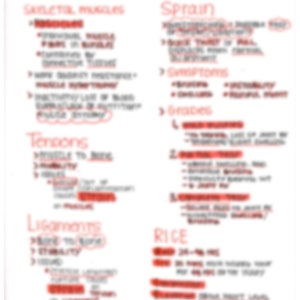 Peut inclure: Un tableau manuscrit avec du texte rouge expliquant la différence entre les entorses et les foulures. Le tableau comprend des informations sur les muscles squelettiques, les tendons, les ligaments et RICE (repos, glace, compression, élévation).