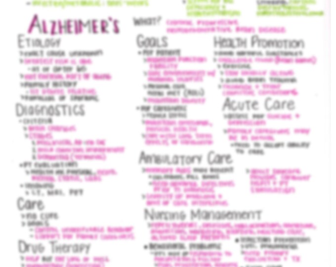 Flu/tb Med Surg Nursing Notes - Etsy Canada