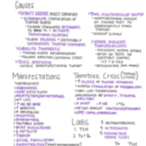 May include: Handwritten notes on a white background with purple ink. The notes discuss the causes, manifestations, and labs for hyperthyroidism. The text includes terms like "Grave's Disease", "Toxic Goiter", "Thyrotoxic Crisis", and "Labs".