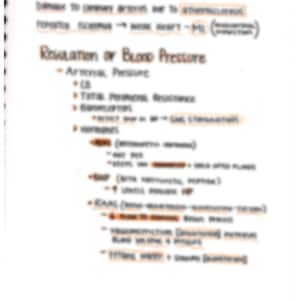 May include: Handwritten notes on a white page with black ink. The notes discuss coronary artery disease and the regulation of blood pressure. The notes include terms like "arterial pressure", "total peripheral resistance", "baroreceptors", "RAAS", and "vasoconstriction".