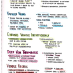 Vein Conditions Pathophysiology Nursing Study Notes