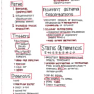 Op de afbeelding: Handgeschreven notities op een witte pagina met de titel "ASTHMA" in rood. De notities beschrijven de pathofysiologie, de triggers en de diagnose van astma. De notities bevatten ook een sectie over "Status Asthmaticus Nood".