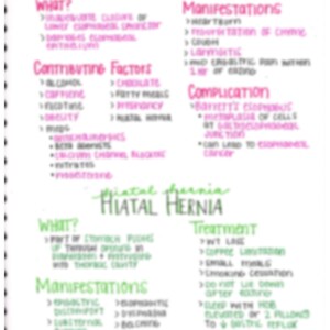 Könnte beinhalten: Handgeschriebene Notizen auf einer Seite eines Notizbuches über GERD und Hiatushernie. Die Notizen sind in rosa und grüner Tinte und beinhalten Informationen darüber, was die Erkrankungen sind, die beitragenden Faktoren, die Manifestationen, die Komplikationen und die Behandlung.