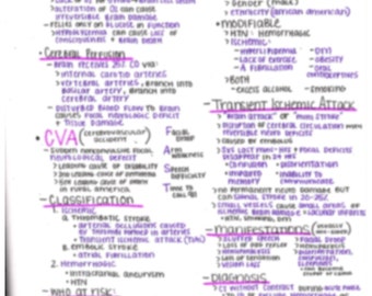 Notes de soins infirmiers sur la physiopathologie de l'AVC/de l'AVC