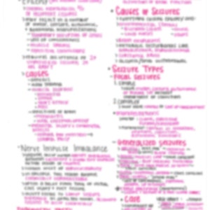 Seizures Pathophysiology Nursing Notes