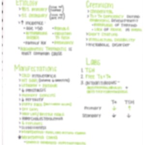 Hypothyroidism Pathophysiology Nursing Notes