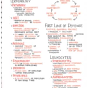 Puede incluir: Un diagrama escrito a mano que explica el concepto de inmunidad. El diagrama incluye terminología, la primera línea de defensa, leucocitos y un gráfico de la respuesta inmune.