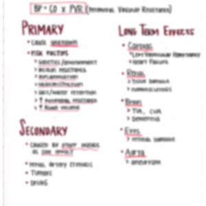 Hypertension Pathophysiology Nursing Notes