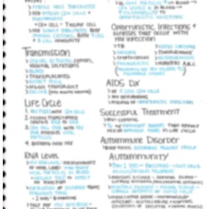 Op de afbeelding: Handgeschreven notities op een witte pagina met blauwe inkt over HIV, inclusief informatie over overdracht, levenscyclus, DNA-niveaus, latente periode, opportunistische infecties, AIDS-diagnose, succesvolle behandeling, auto-immuunziekte en auto-immuniteit.