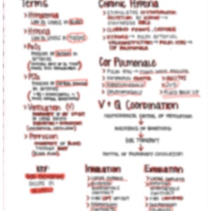 May include: A handwritten diagram on white paper with the title "Pulmonary System" and terms related to the respiratory system, including "Chronic Hyperia", "Cor Pulmonale", "Ventilation (V)", "Perfusion", "V. Q Coordination", "Inspiration", and "Expiration".