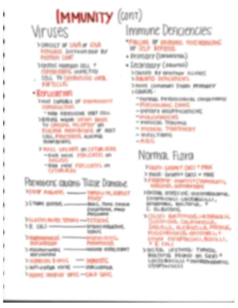 Immunity Pathophysiology Nursing Notes - Etsy