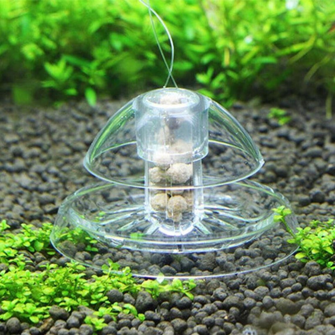 Snail Trap for Aquarium Fish Plants Tank super price Etsy