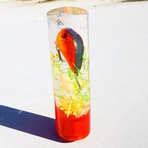 Può includere: Un cilindro trasparente riempito di liquido rosso e un piccolo esca da pesca arancione e nero. L'esca è sospesa nel liquido con fiori e piante verdi e gialle.