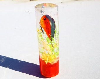 Manopole del cambio per esche da pesca