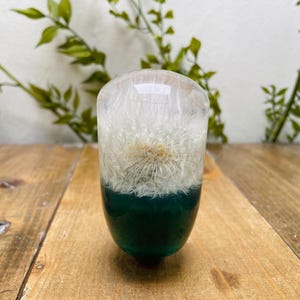 Puede incluir: Un pisapapeles ovalado transparente con un diente de león encapsulado. La mitad inferior es de color verde oscuro, y la cabeza de la semilla del diente de león está centrada. El pisapapeles está sobre una superficie de madera.