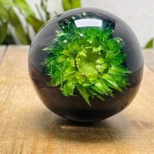 Puede incluir: Un pisapapeles esférico transparente con un vibrante diseño floral verde encapsulado en resina negra. Los intrincados detalles de la flor son visibles, creando un contraste llamativo con el fondo oscuro. El pisapapeles está sobre una superficie de madera.