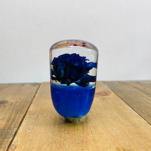 Könnte beinhalten: Ein transparenter Glasschaltknauf mit einer blauen Harzblume im Inneren. Die Blume ist eine einzelne Blüte mit mehreren Blütenblättern.