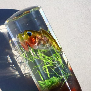 May include: A clear resin paperweight containing a gold and red fishing lure. The lure is surrounded by green plastic grass.