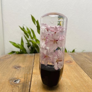 Perilla de cambio Water Flower, color cerezo, negra