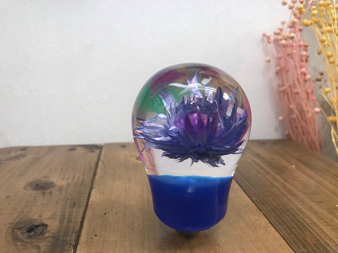 Underwater Flower Shift Knob Light Bulb Type Silver Daisy and Etsy