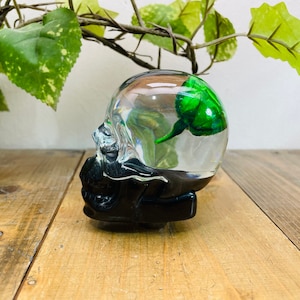 May include: A clear glass skull with a black base, containing a green leaf inside. The skull is sitting on a wooden surface.