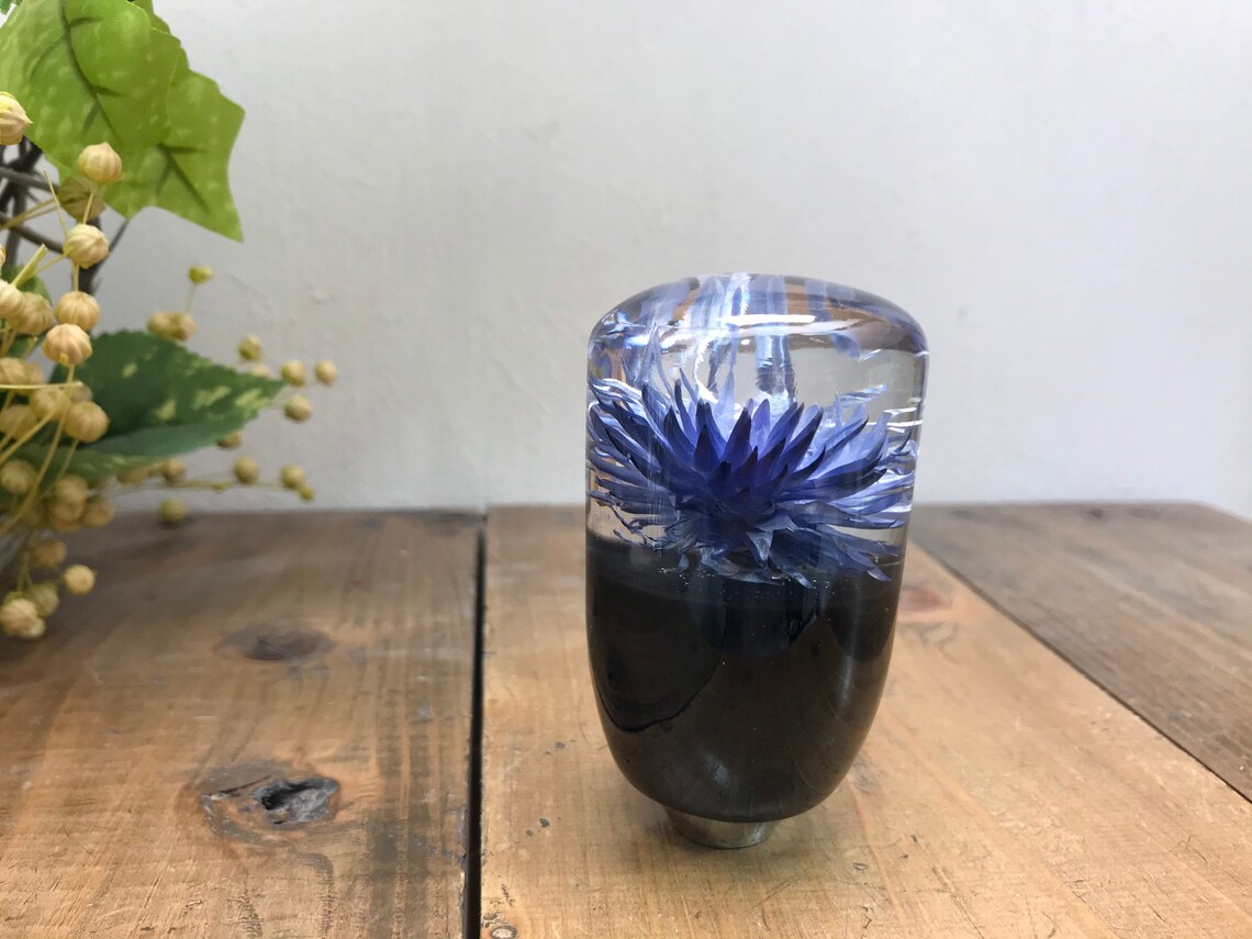 Underwater Flower Shift Knob Silver Daisy Blueviolet Etsy