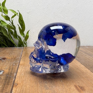 Puede incluir: Un objeto decorativo transparente con forma de cráneo, hecho de resina o vidrio, que presenta elementos florales de color azul intenso incrustados en su interior. El cráneo se muestra de perfil, con una cúpula lisa y rasgos faciales definidos.