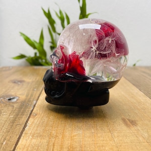 Puede incluir: Una escultura decorativa de calavera con una cúpula de resina transparente llena de flores rojas y blancas. La base de la calavera es de color marrón oscuro. La escultura se exhibe sobre una superficie de madera.