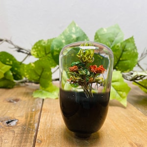 Op de afbeelding: Een glazen stolp met een zwarte basis omsluit een kleine opstelling van gedroogde bloemen. De bloemen zijn een mix van groen, oranje en rood.