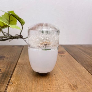 Op de afbeelding: Een witte hars schakelknop met een geconserveerde paardenbloem erin. De bloem is wit en pluizig, en de knop heeft een gladde, ronde vorm.