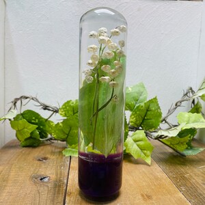 May include: A clear glass tube filled with a preserved lily of the valley flower arrangement. The flowers are white and the leaves are green. The bottom of the tube is filled with a dark purple liquid.