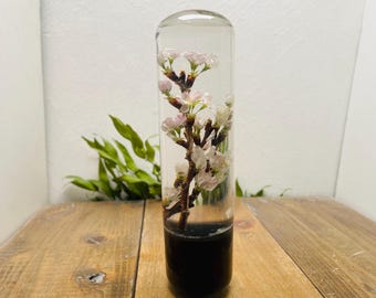 Submerged Flower Shift Knob, Cylindrical, Cherry Blossom Design, Black