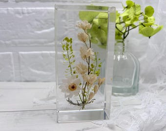 Floral Interior Decor M: What is a Delphinium?