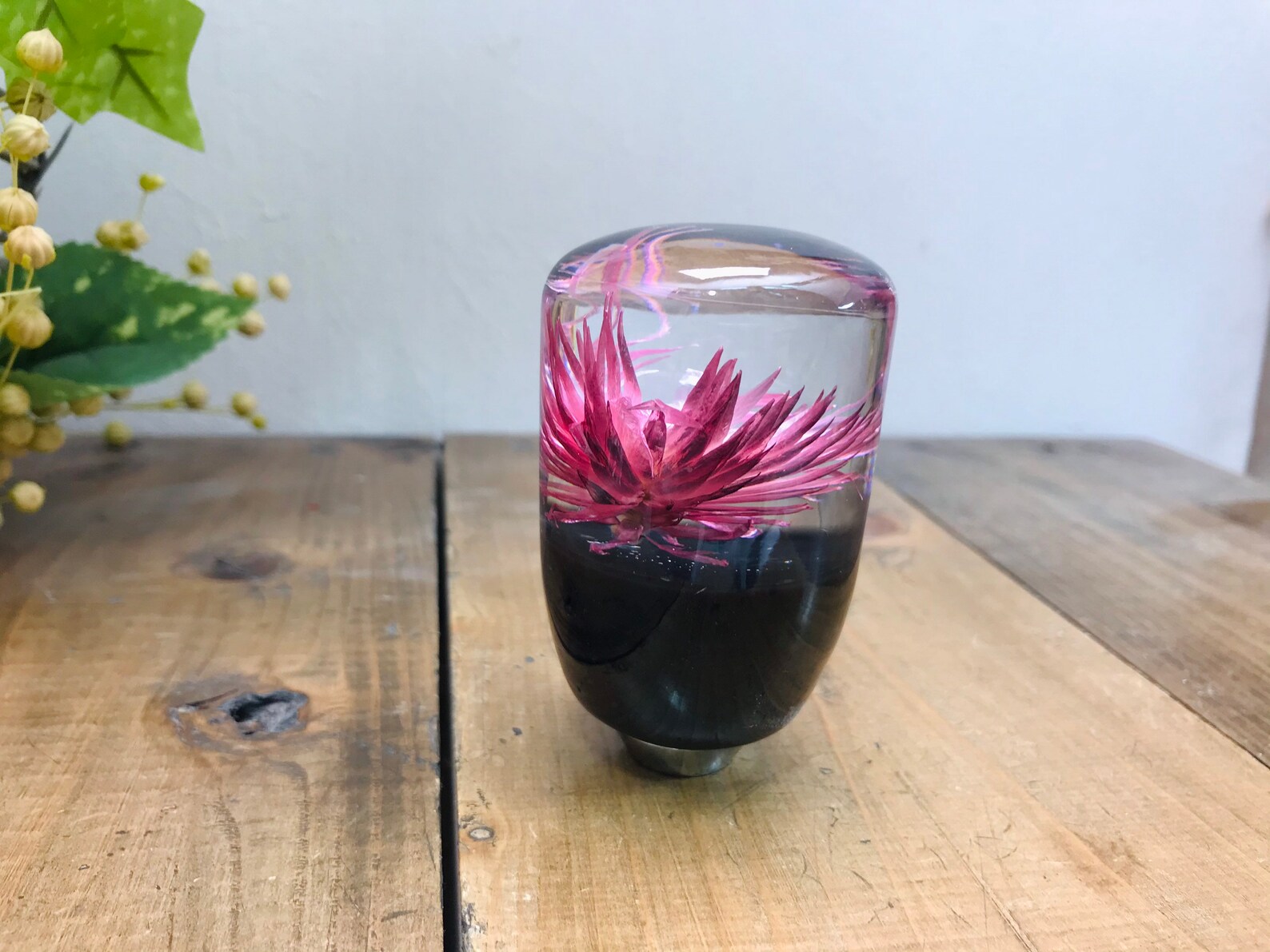 Underwater Flower Shift Knob Silver Daisy Pink Etsy UK