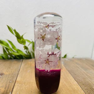 Manopla de câmbio com flor subaquática, flor de cerejeira, roxa