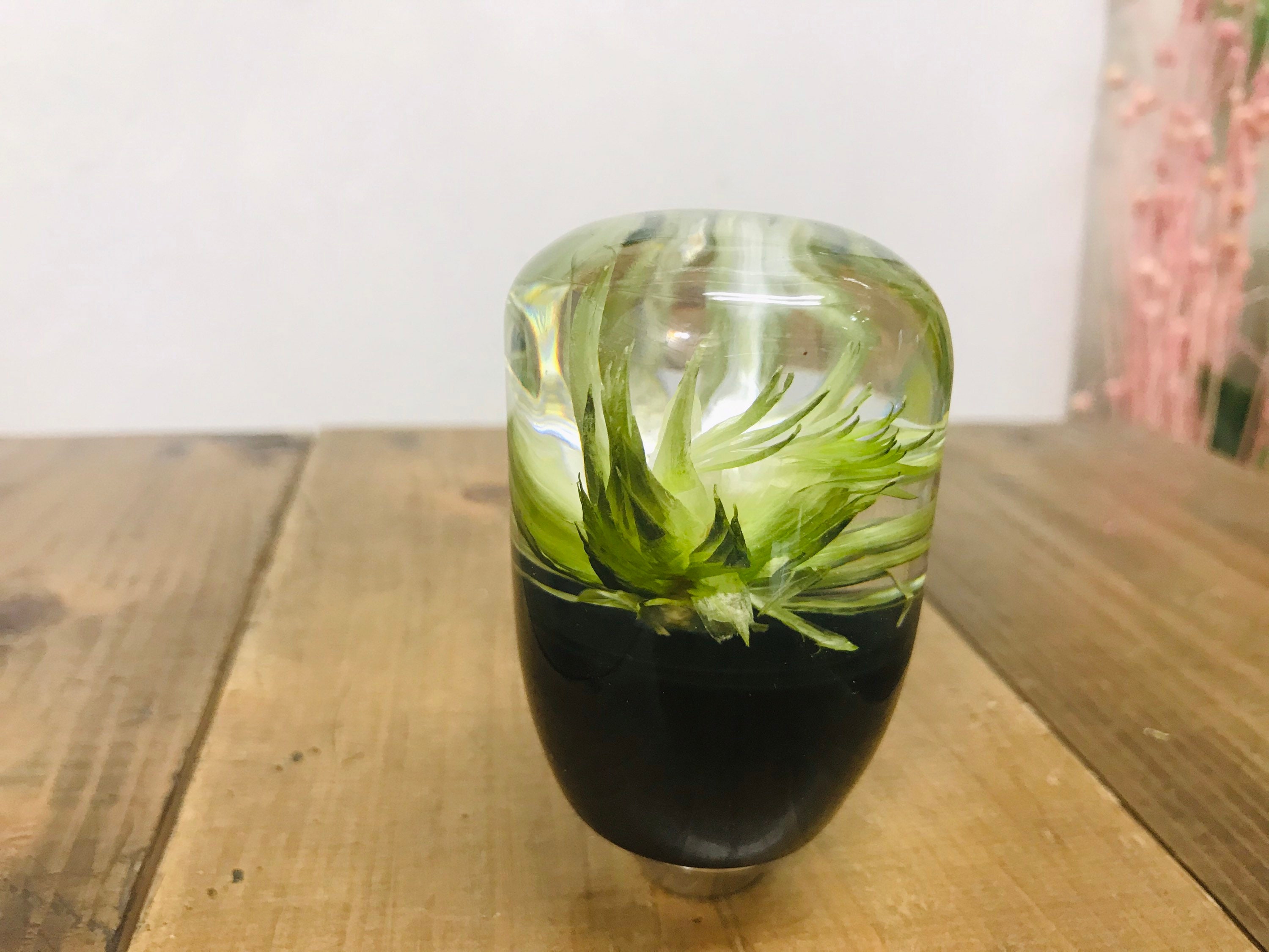 Underwater Flower Shift Knob Silver Daisy Khaki Etsy