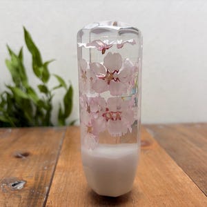 Puede incluir: Un pomo de palanca de cambios cilíndrico hecho de resina transparente, con flores de cerezo de color rosa claro incrustadas en todo el cuerpo. La base del pomo es de color blanco opaco y la parte superior está facetada con un acabado liso.