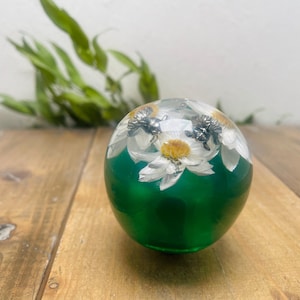Puede incluir: Una esfera decorativa de vidrio con una base verde vibrante y una parte superior transparente, que muestra flores de margarita blancas y pequeños detalles plateados. La esfera descansa sobre una superficie de madera, con follaje verde en el fondo.