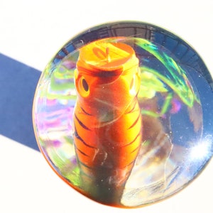 Może przedstawiać: Szklany przycisk do papieru z przezroczystego szkła z pomarańczową i czarną rybą w paski w stylu tygrysim. Ryba patrzy w g&oacute;rę z otwartym pyskiem.