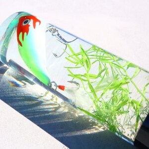 Pu&ograve; includere: Un tubo di vetro trasparente con un'esca da pesca verde e rossa al suo interno. Il tubo &egrave; pieno d'acqua e contiene materiale vegetale verde.